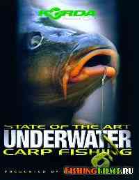 Подводная ловля карпа. Часть 6 / State of the art underwater carp fishing. Part 6