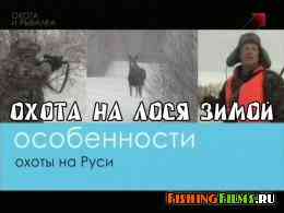 Охота на лося зимой в Вологодской области