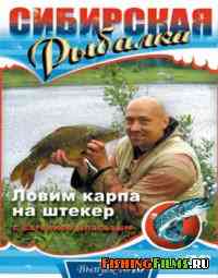 Сибирская рыбалка. Ловим карпа на штекер (Выпуск 10)