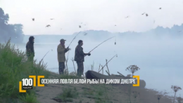 Осенняя ловля белой рыбы на диком Днепре 