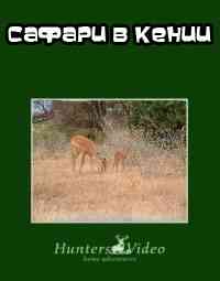 Hunters Video. Сафари в Кении