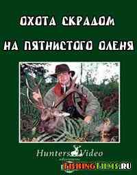 Hunters Video. Охота скрадом на пятнистого оленя