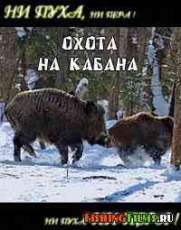 Ни пуха, ни пера. Охота на кабана зимой в Вологодской области