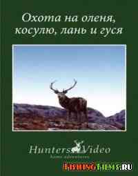 Hunters Video. Охота на оленя, косулю, лань и гуся