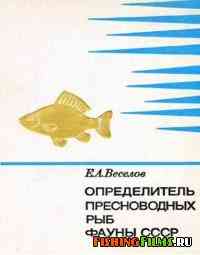 Определитель пресноводных рыб фауны СССР