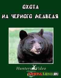 Hunters Video. Охота на черного медведя