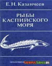 Рыбы Каспийского моря