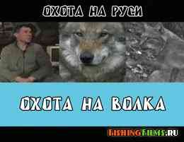 Охота на волка в Псковской области