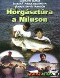 Рыбалка в Египте на реке Нил / Horgasztura a Niluson