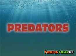 Хищники / Predators