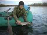 Абаканская рыбалка. Абаканский спиннинг. Сазан на Красноярском море