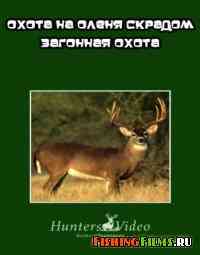 Hunters Video. Охота на оленя скрадом и загонная охота