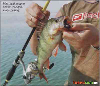 Рыбалка на Веселовском водохранилище