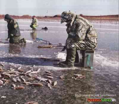 Зимняя рыбалка на Ахтубе