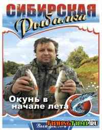 Сибирская рыбалка. Окунь в начале лета (Выпуск 4)