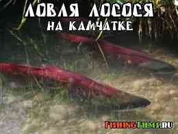 Ловля лосося на Камчатке / Memburu Ikan: King salmon Kamchatka