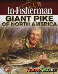 Гигантская щука Северной Америки / Giant Pike of North America