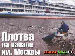 Плотва на канале им. Москвы