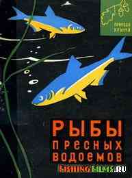 Природа Крыма. Рыбы пресных водоёмов.