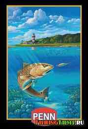 Рыболовный каталог Penn 2011 г