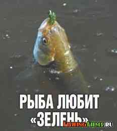 Рыба любит зелень