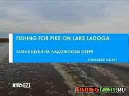 Ловля щуки на Ладожском озере