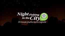 Ночная рыбалка в городе