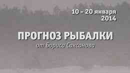 Прогноз рыбалки от Бориса Саксонова 10-20 января 2014 г